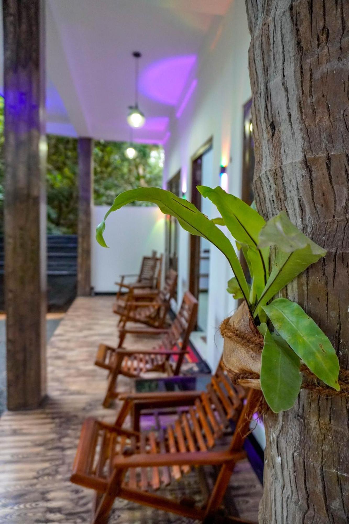 Nature Lotus Villa Dambulla Bagian luar foto