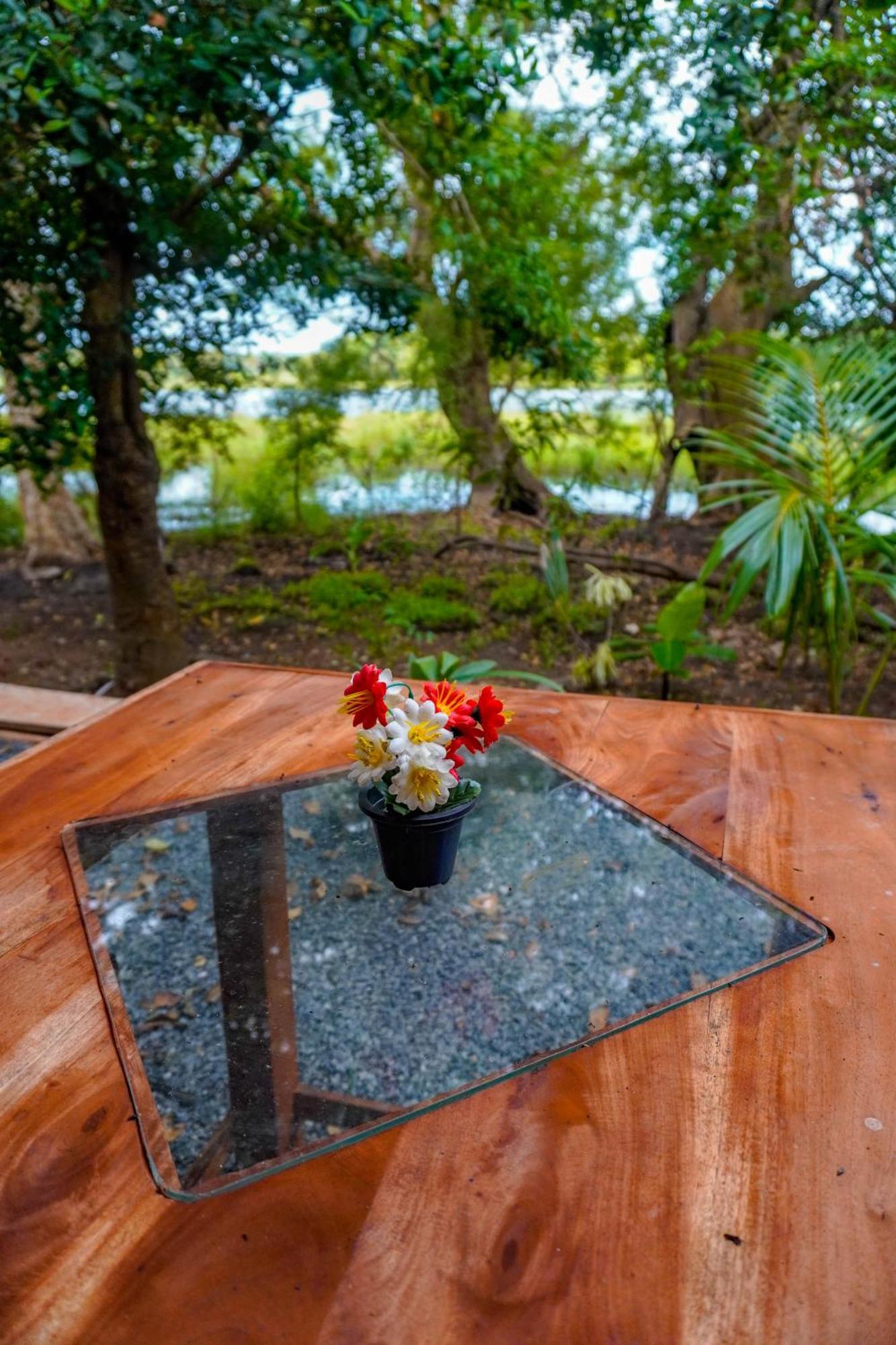 Nature Lotus Villa Dambulla Bagian luar foto
